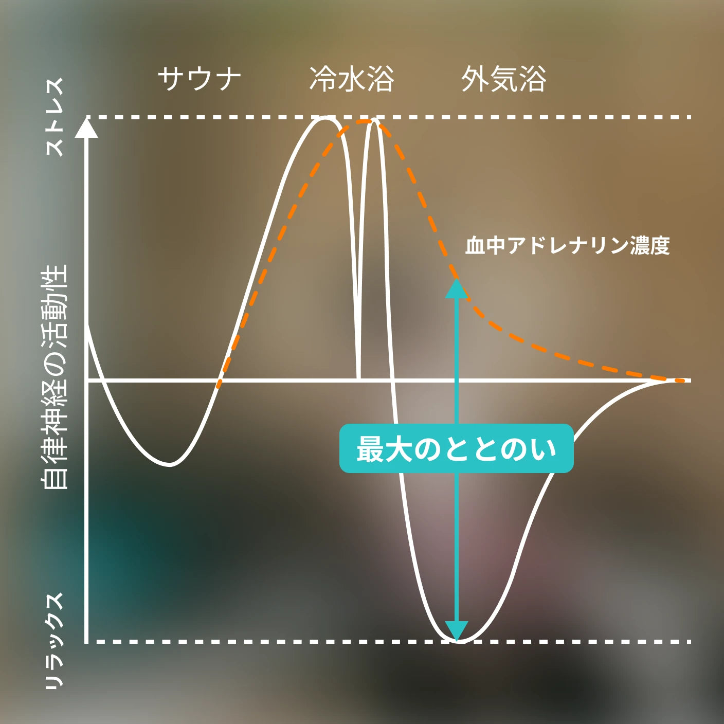 ととのいのメカニズム